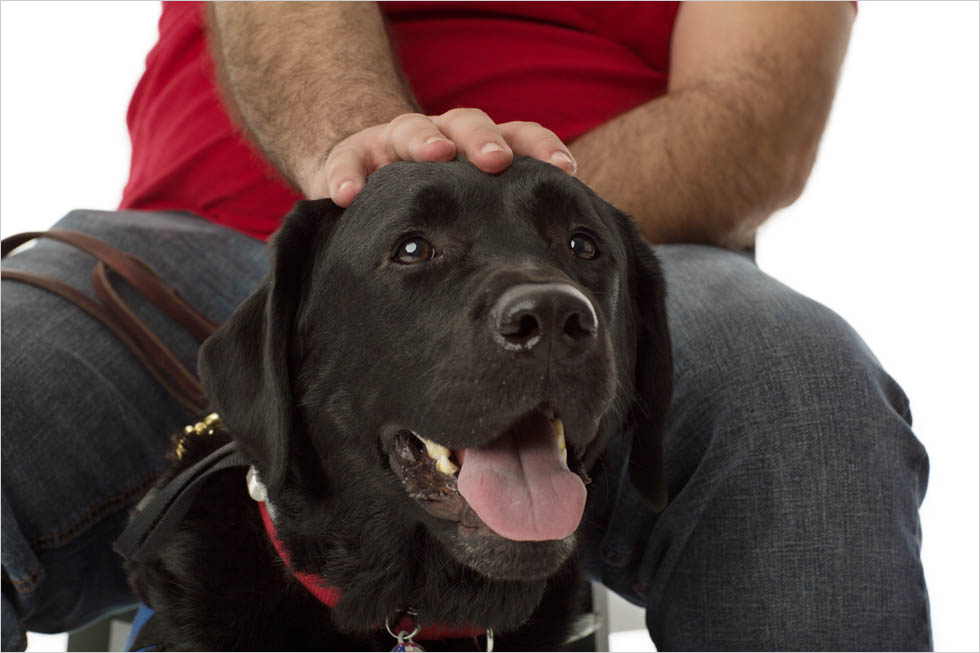 Heal! Veterans and Their Service Dogs