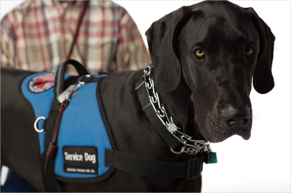 Heal! Veterans & Their Service Dogs